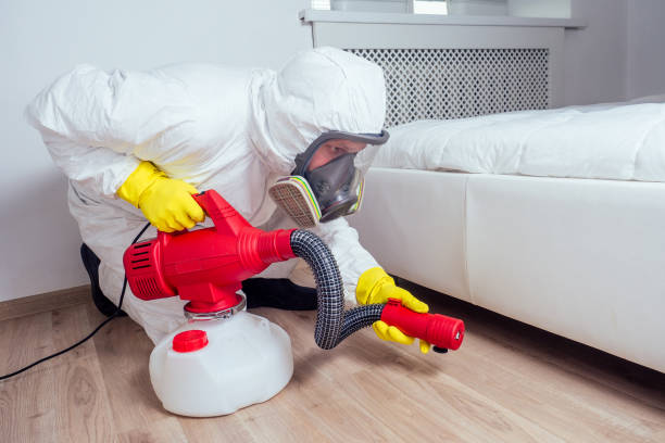 Best Fumigation Services  in Yosemite Valley, CA